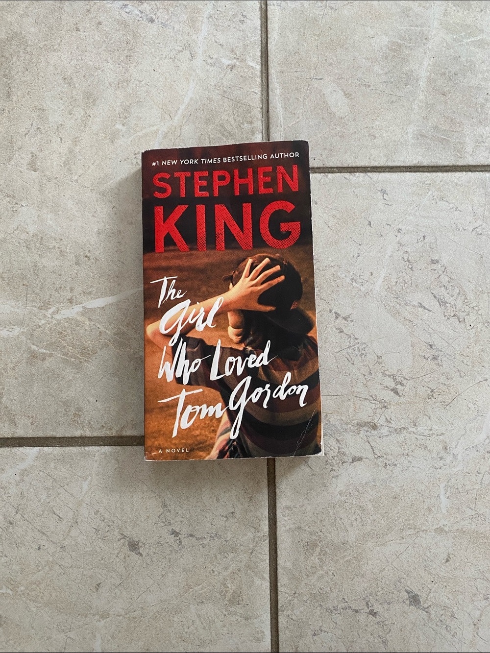 The Girl Who Loved Tom Gordon Paperback